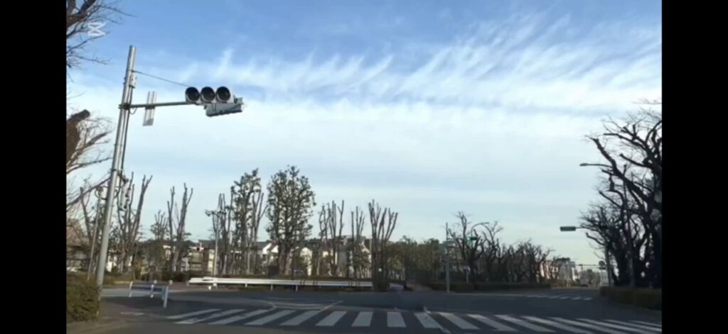 光が丘公園角交差点から光が丘クリニックへ向かう車ルートの目印